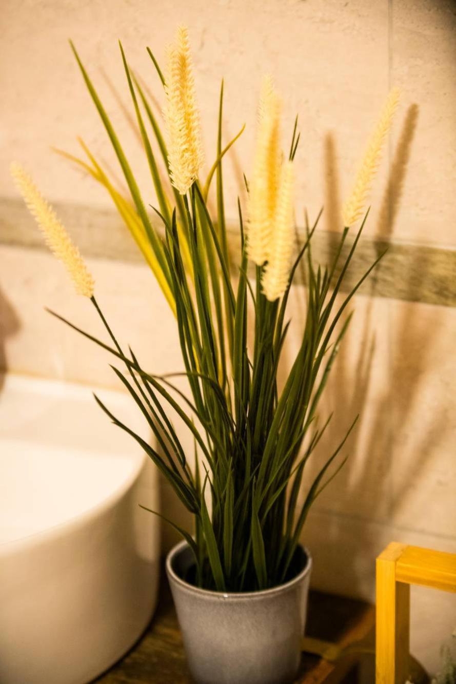 Achillea Apartment Rhemes-Saint-Georges ภายนอก รูปภาพ